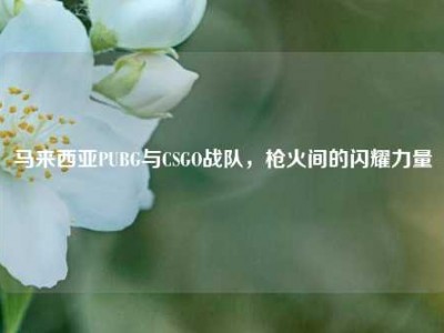 马来西亚PUBG与CSGO战队，枪火间的闪耀力量
