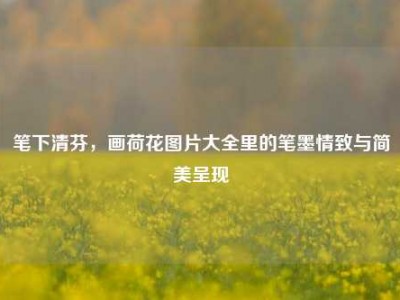 笔下清芬，画荷花图片大全里的笔墨情致与简美呈现