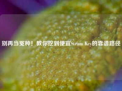 别再当冤种！教你挖到便宜Steam Key的靠谱路径