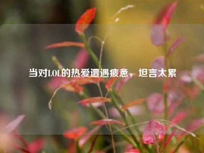 当对LOL的热爱遭遇疲惫，坦言太累