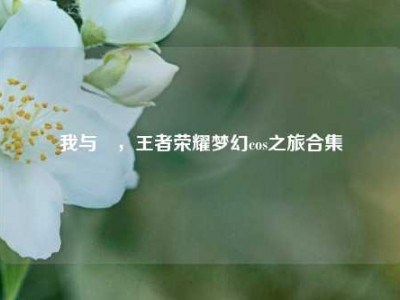 我与暃，王者荣耀梦幻cos之旅合集