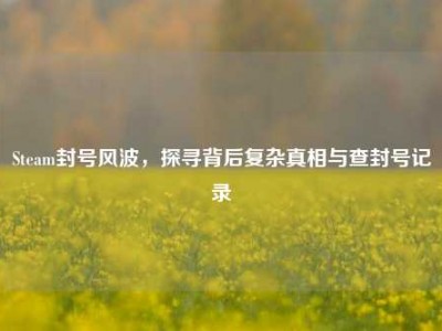 Steam封号风波，探寻背后复杂真相与查封号记录