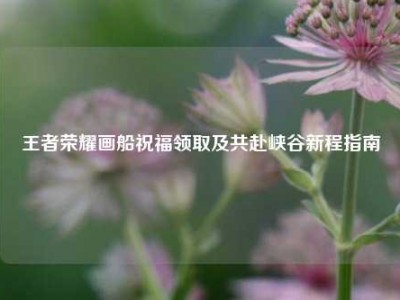王者荣耀画船祝福领取及共赴峡谷新程指南
