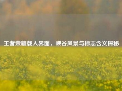 王者荣耀载入界面，峡谷风景与标志含义探秘