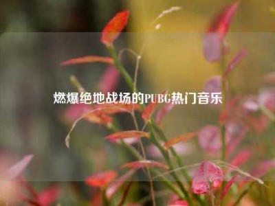 燃爆绝地战场的PUBG热门音乐