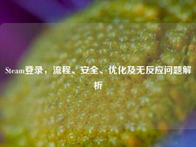 Steam登录，流程、安全、优化及无反应问题解析