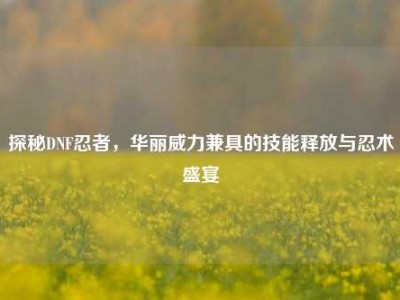 探秘DNF忍者，华丽威力兼具的技能释放与忍术盛宴