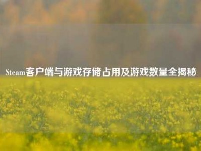 Steam客户端与游戏存储占用及游戏数量全揭秘