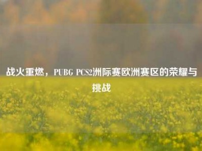 战火重燃，PUBG PCS2洲际赛欧洲赛区的荣耀与挑战