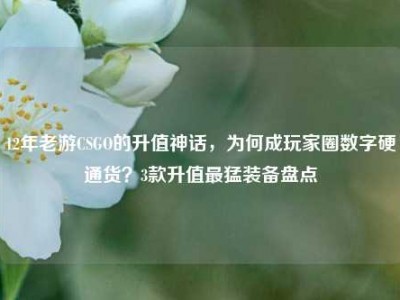 12年老游CSGO的升值神话，为何成玩家圈数字硬通货？3款升值最猛装备盘点