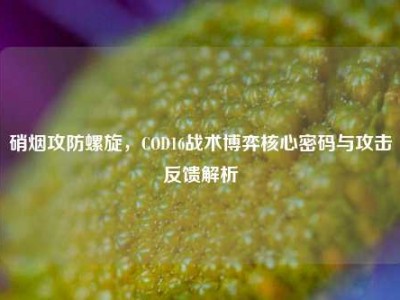 硝烟攻防螺旋，COD16战术博弈核心密码与攻击反馈解析