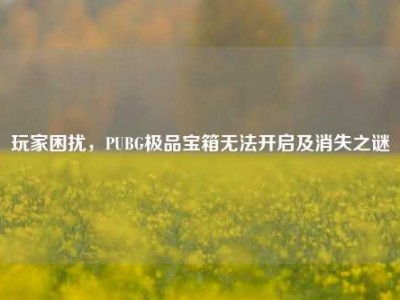 玩家困扰，PUBG极品宝箱无法开启及消失之谜