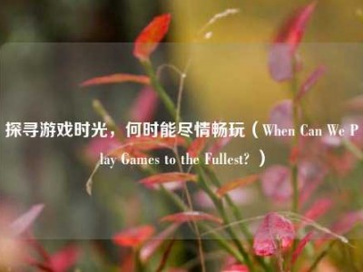 探寻游戏时光，何时能尽情畅玩（When Can We Play Games to the Fullest? ）
