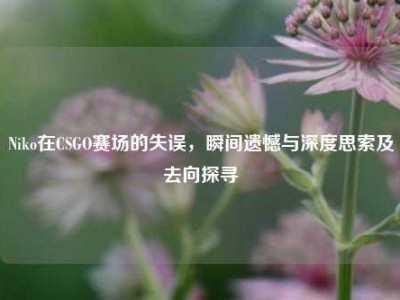 Niko在CSGO赛场的失误，瞬间遗憾与深度思索及去向探寻