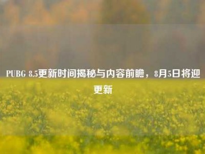 PUBG 8.5更新时间揭秘与内容前瞻，8月5日将迎更新