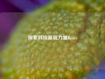 探索科技新锐力量Rexcc