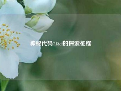 神秘代码715cf的探索征程