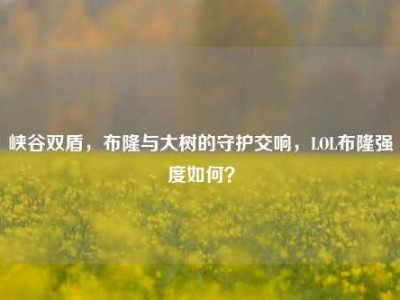 峡谷双盾，布隆与大树的守护交响，LOL布隆强度如何？