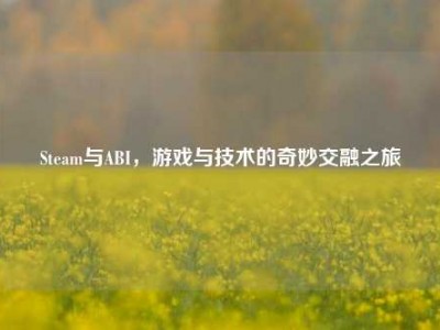 Steam与ABI，游戏与技术的奇妙交融之旅