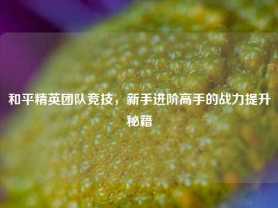 和平精英团队竞技，新手进阶高手的战力提升秘籍