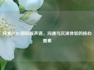 探索PUBG国际服声道，沟通与沉浸体验的核心要素