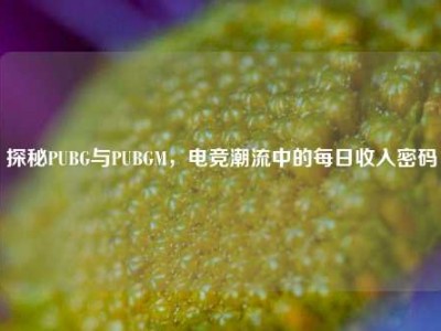 探秘PUBG与PUBGM，电竞潮流中的每日收入密码
