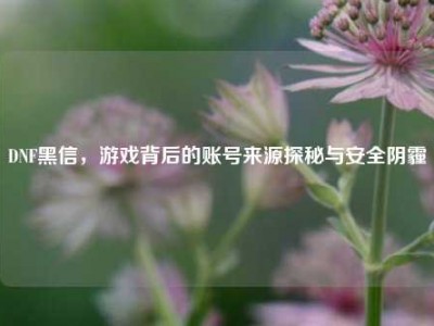 DNF黑信，游戏背后的账号来源探秘与安全阴霾