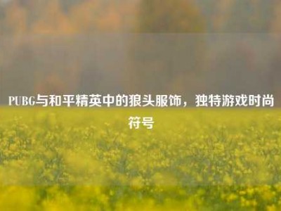 PUBG与和平精英中的狼头服饰，独特游戏时尚符号