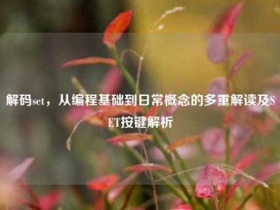 解码set，从编程基础到日常概念的多重解读及SET按键解析