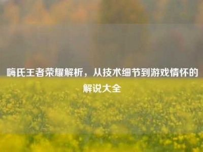 嗨氏王者荣耀解析，从技术细节到游戏情怀的解说大全