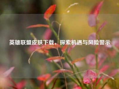 英雄联盟皮肤下载，探索机遇与风险警示