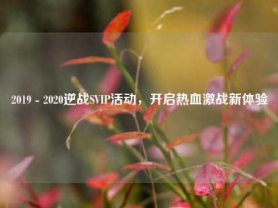 2019 - 2020逆战SVIP活动，开启热血激战新体验