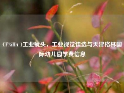 CF75HA 1工业镜头，工业视觉佳选与天津格林国际幼儿园学费信息