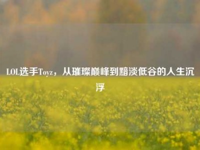 LOL选手Toyz，从璀璨巅峰到黯淡低谷的人生沉浮