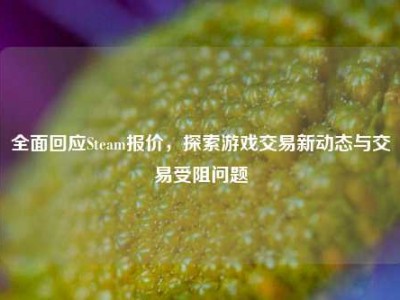 全面回应Steam报价，探索游戏交易新动态与交易受阻问题
