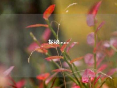 探秘rexcc