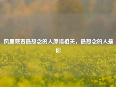 风里藏着最想念的人原唱相关，最想念的人是你