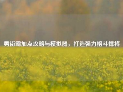 男街霸加点攻略与模拟器，打造强力格斗悍将