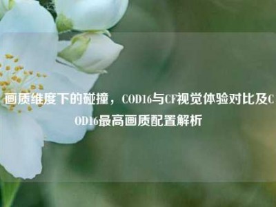 画质维度下的碰撞，COD16与CF视觉体验对比及COD16最高画质配置解析