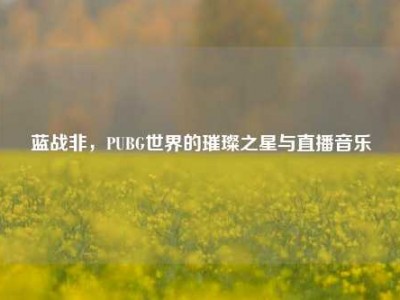 蓝战非，PUBG世界的璀璨之星与直播音乐