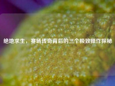 绝地求生，赛场传奇背后的三个极致操作探秘