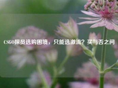 CSGO探员选购困境，只能选激流？买与否之问