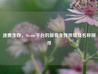 迷雾生存，Steam平台的新奇生存体验及名称探寻