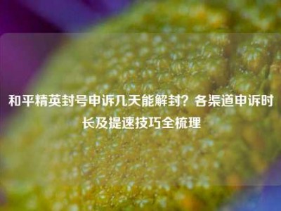 和平精英封号申诉几天能解封？各渠道申诉时长及提速技巧全梳理