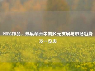 PUBG饰品，热度攀升中的多元发展与市场趋势及一览表