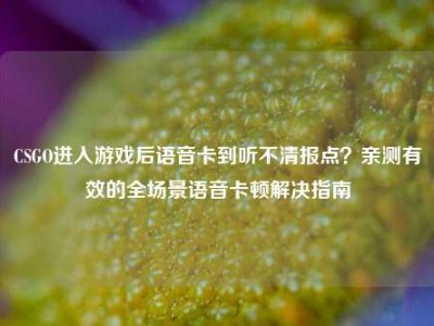 CSGO进入游戏后语音卡到听不清报点？亲测有效的全场景语音卡顿解决指南