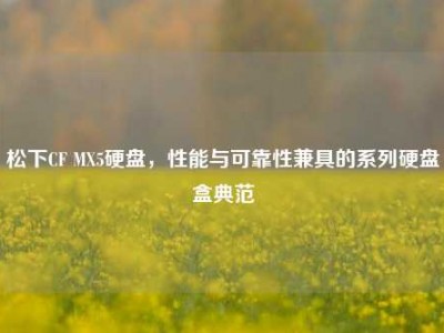 松下CF MX5硬盘，性能与可靠性兼具的系列硬盘盒典范