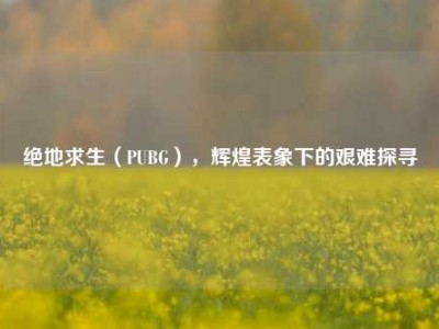 绝地求生（PUBG），辉煌表象下的艰难探寻