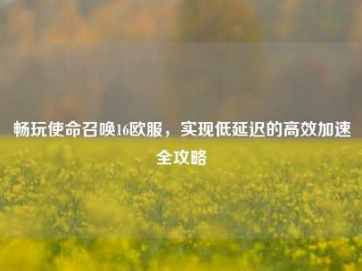 畅玩使命召唤16欧服，实现低延迟的高效加速全攻略