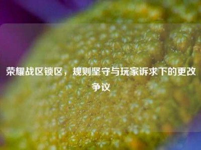 荣耀战区锁区，规则坚守与玩家诉求下的更改争议